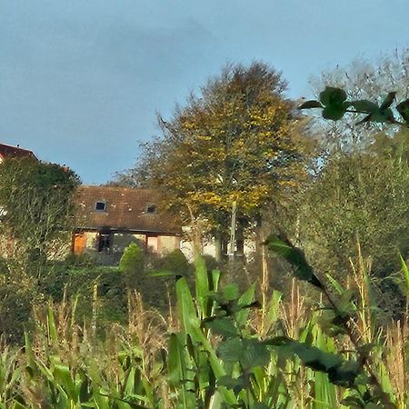 Gite Marie Le Bellanoy Wirwignes Bagian luar foto